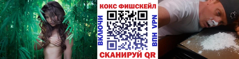 КОКАИН Fish Scale Баксан
