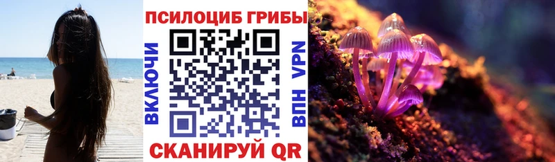 цена   Баксан  маркетплейс клад  Галлюциногенные грибы Magic Shrooms 